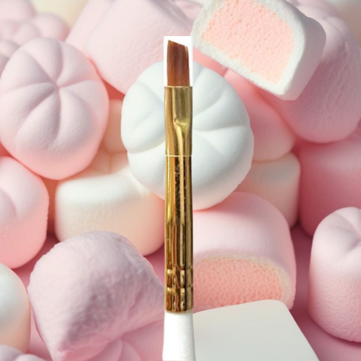 PINCEAUX INDIVIDUEL N°2 – Image 2